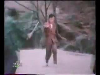 bruce and shaolin kung-fu / da mo tie zhi gong