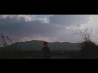 shogun assassin